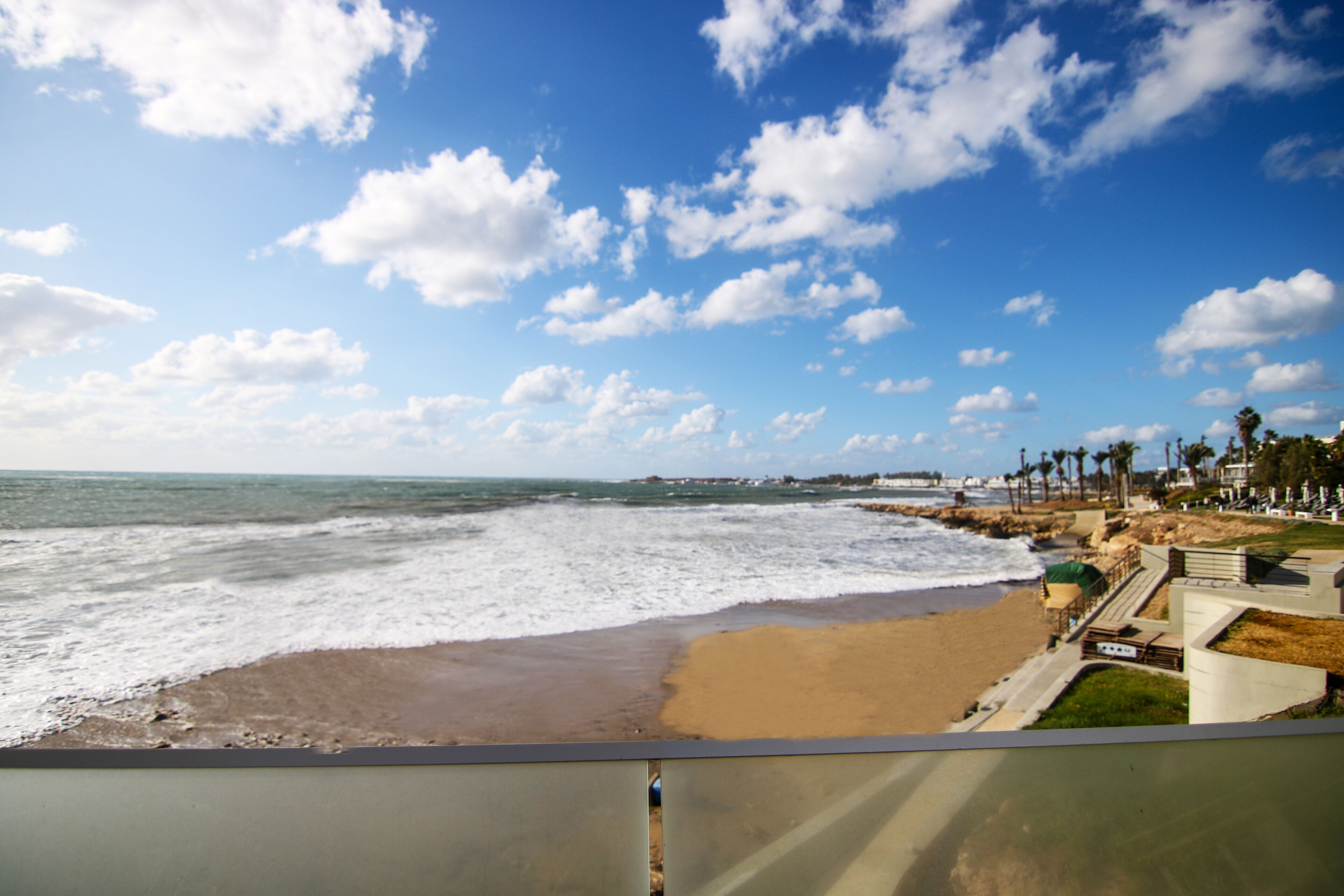 Vista sulla spiaggia con onde, cielo sereno e una passeggiata alberata da palme.