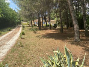 Property grounds