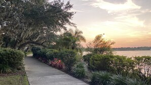 A concrete pathway flanked by lush greenery and trees, leading towards a body of water. - Dora Splash Pad (Mount Dora)