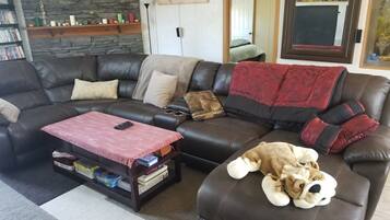 Smart TV, video games, DVD player, books
