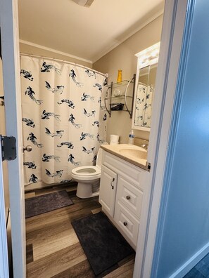 Une salle de bain équipée de toilettes, d’un lavabo et d’un rideau de douche orné d’un motif d’oiseaux.
