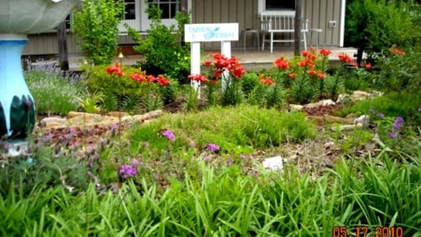 A garden with a variety of plants and flowers, a bird bath, and a sign that reads "Tableau." - Tarheel Retreat (Henderson)