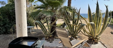 En terrasse med grill, en klapstol og store agaveplanter.