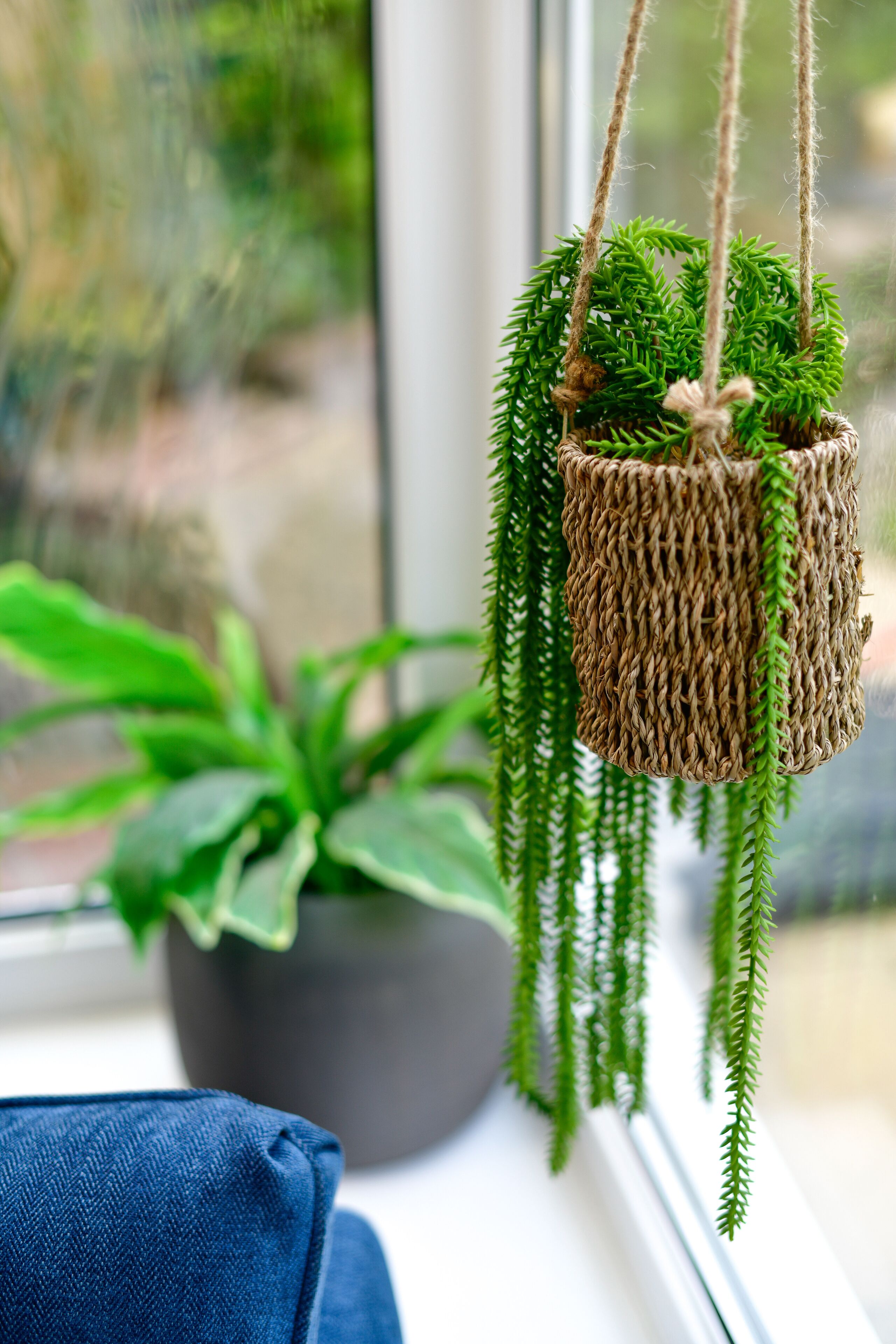 Une plante suspendue dans un potier tressé, une plante en pot et un coussin bleu posés sur un rebord de fenêtre.
