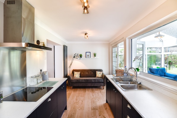 Full-size fridge, oven, stovetop, electric kettle