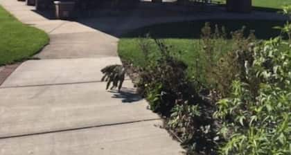 Beautifully remodeled 2 bed 104 Berkley Verona #6