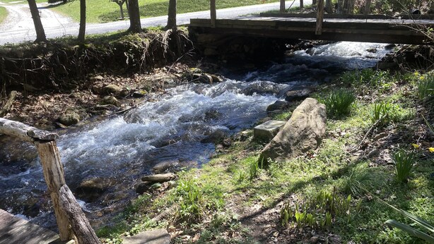 Un arroyo serpentea bajo un puente de madera, cerca de un sendero de piedra.