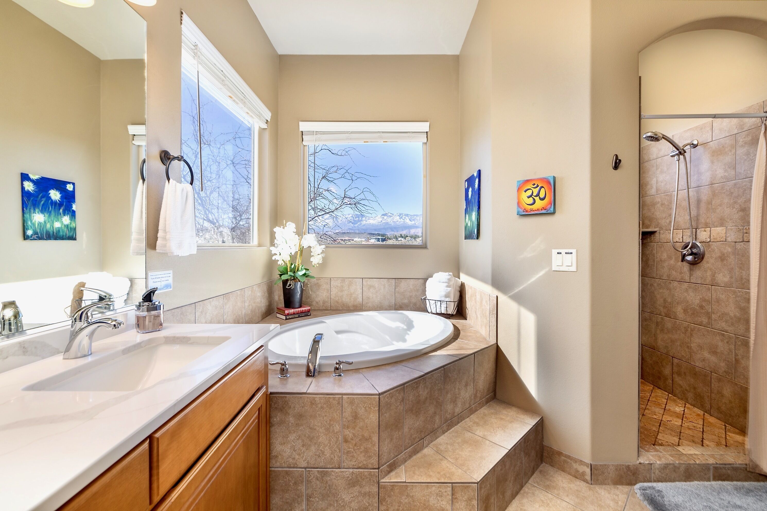 Combined shower/bathtub, jetted bath, hair dryer, towels