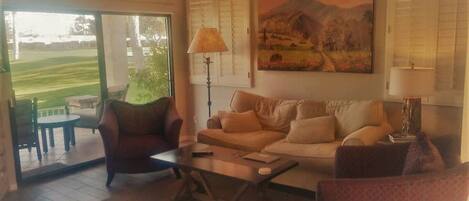 TV connectée, cheminée, lecteur de DVD