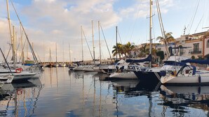 Marina com vários veleiros atracados, águas calmas e edifícios ao fundo.