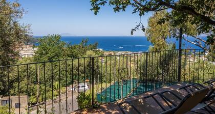 ULIVI APT in Sorrento