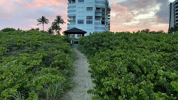 A pathway leading to a modern multi-story building with balconies, surrounded by dense greenery. - Luxurious Beach Front 1st Floor 2/2 Condo (Fort Pierce)