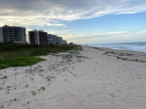 On the beach, sun-loungers, beach towels