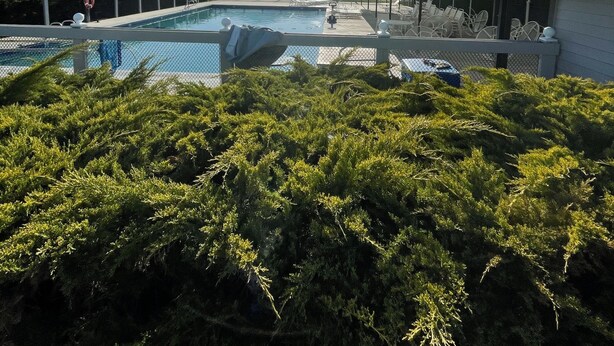 Un espace piscine offrant une vue dégagée sur les montagnes en arrière-plan.