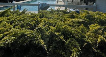 Lake Chelan House at Wapato Point with Lake View, Beach and Pool Access
