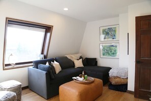 Smart TV, fireplace, books