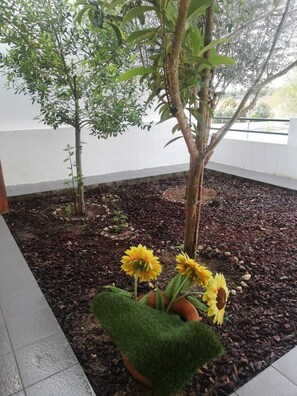 Àrea exterior de l'allotjament