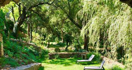 Provence - House - 17th Century Mill