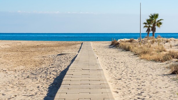 A beach pathway leading to the sea with a palm tree and a tall pole on the right.