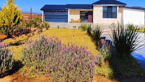 Une maison moderne avec un garage, entourée d’un jardin agrémenté de plantes de lavande.