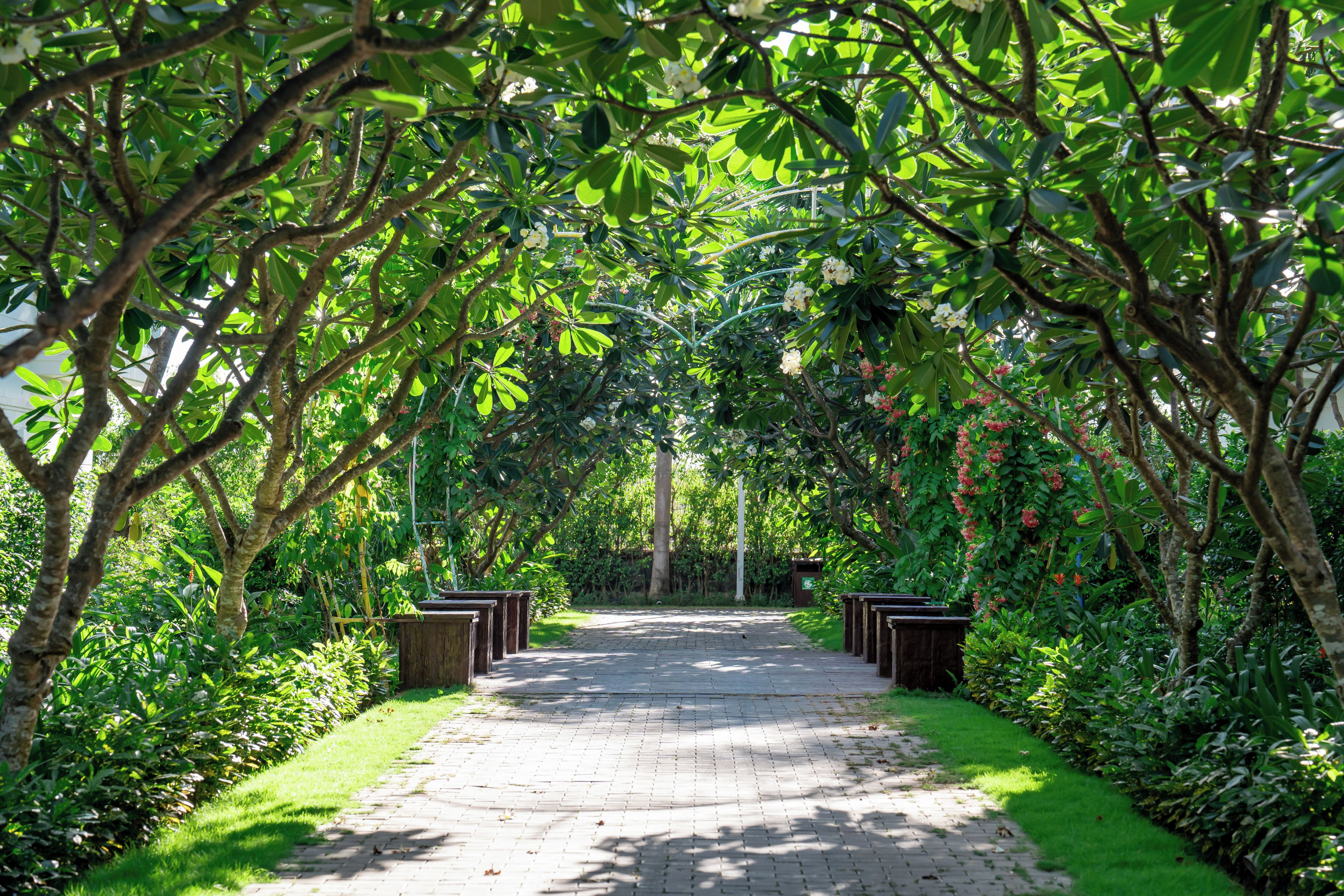 Un sendero pavimentado bordeado de exuberante vegetación y árboles, que conduce a un edificio blanco con techo verde.