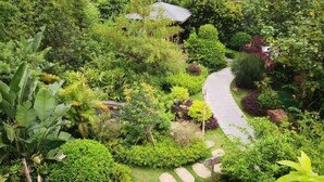 Un jardin luxuriant avec un sentier sinueux en pierre, un feuillage dense et une petite maison en arrière-plan.