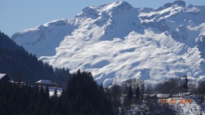 Surrounded by evergreen trees, this mountain retreat offers breathtaking views of a snow-covered peak.