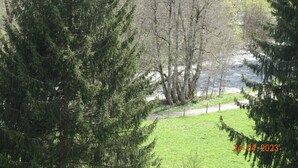 Un paysage naturel caractérisé par une forêt dense de conifères, une zone herbeuse et une rivière.