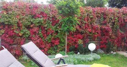 App. Strandperle, strandnahe u. ruhige Toplage, WLAN - Appartement Strandperle