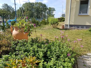 A garden with a large terracotta pot, various shrubs, and purple flowers.