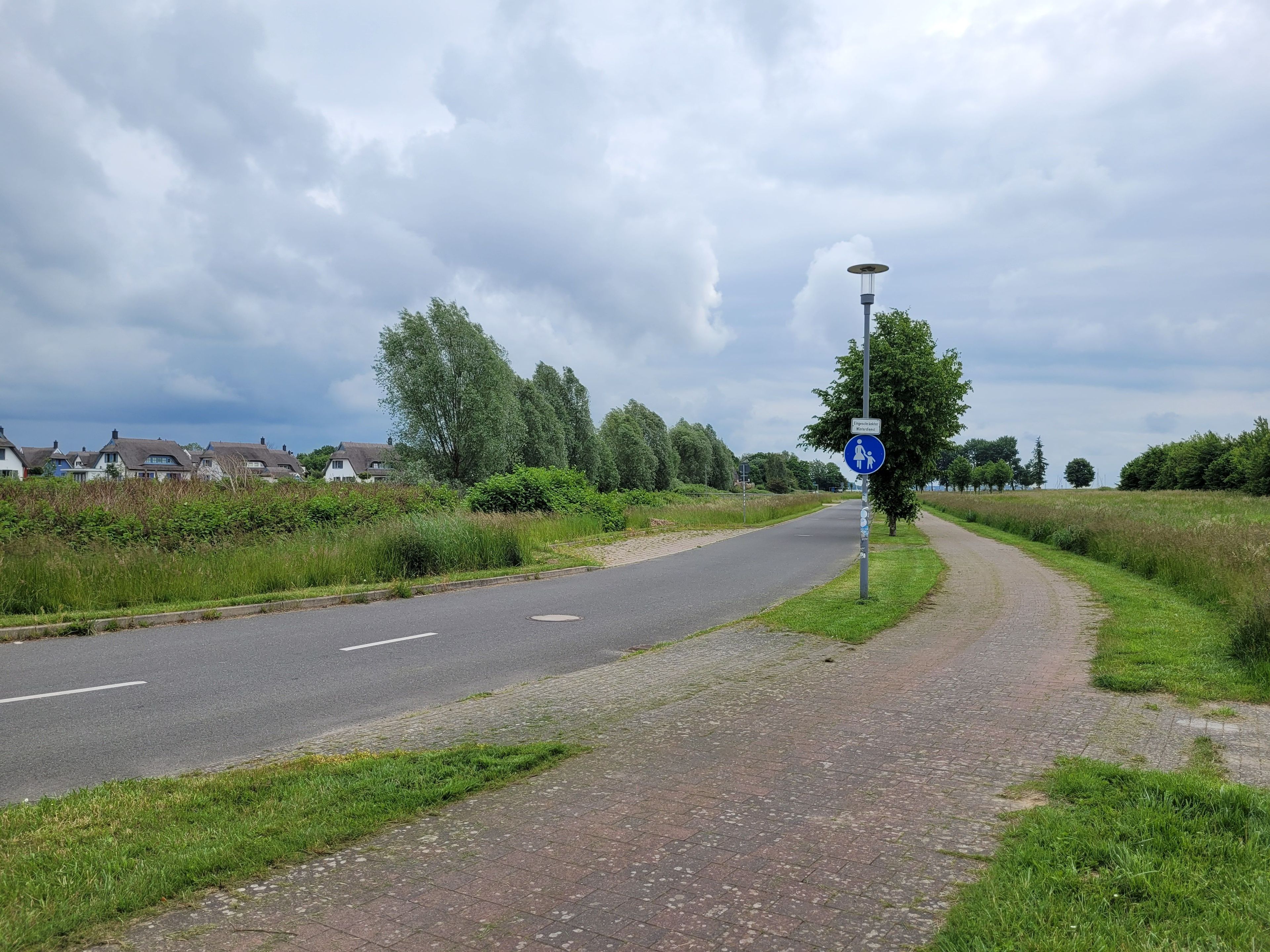 A rural road with a pedestrian crossing sign, houses, and greenery.