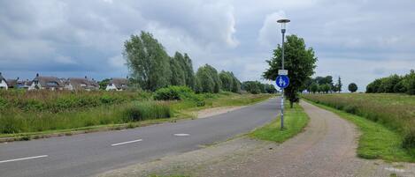 A rural road with a pedestrian crossing sign, houses, and greenery.