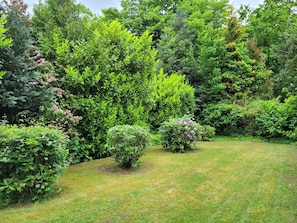 A lush garden with various shrubs and a well-maintained lawn. - DZ / 2-bed room 06_Ground floor - Guesthouse Am Schloss (Kramerhof)