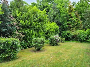 Un jardín exuberante con arbustos variados y un césped bien cuidado.
