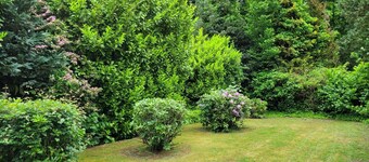 Double / 2-bed room 12 / No. 14 - Guesthouse Am Schloss