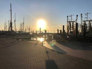 Unclassified image, 4 of 31, button