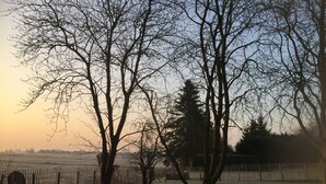 Ein von einer Hecke umgebener Außenbereich mit Bäumen und weiter Aussicht auf ein Gebäude.