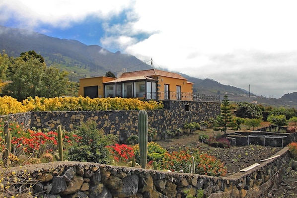 Un bâtiment aux murs de pierre, doté d’une façade jaune et de grandes fenêtres, entouré d’une variété de plantes et de cactus aux couleurs vives.