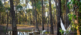 Skyview Bubbletent - Glamping at it's finest!