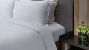 A bed with white bedding and a small table with a green plant beside it.