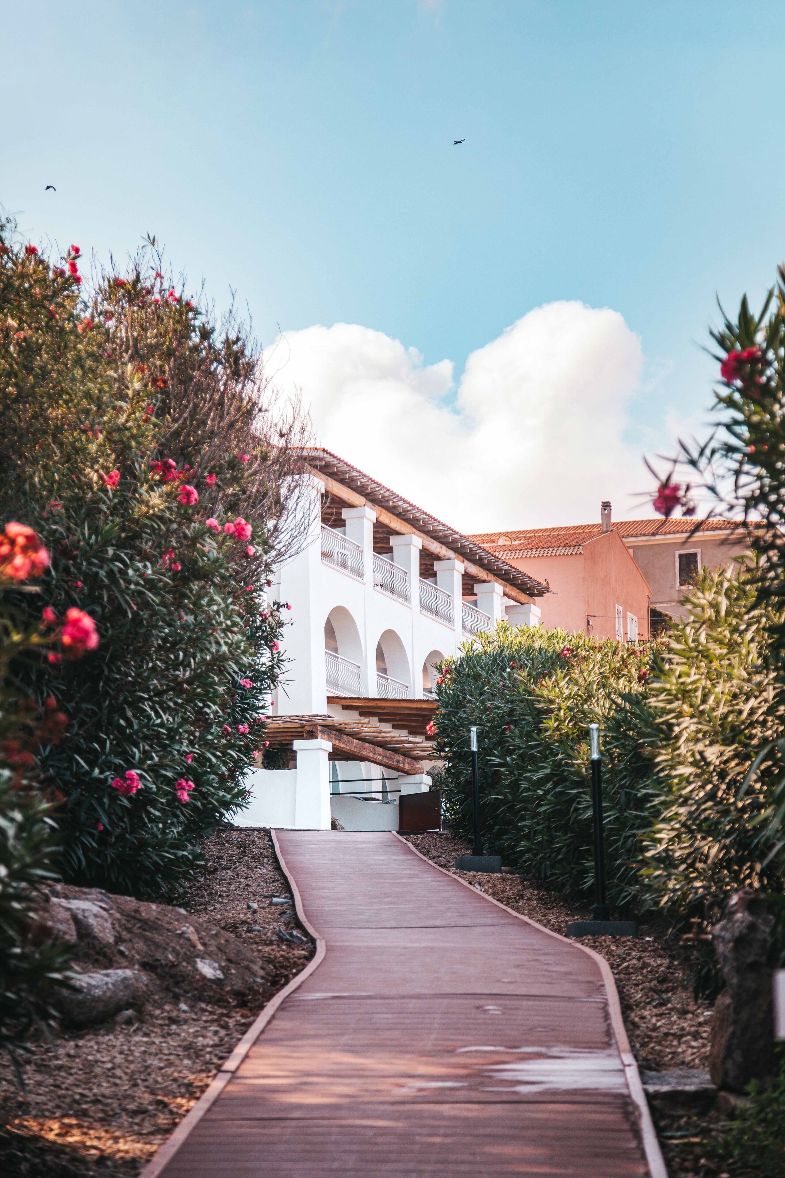 Photo - Hotel Moresco