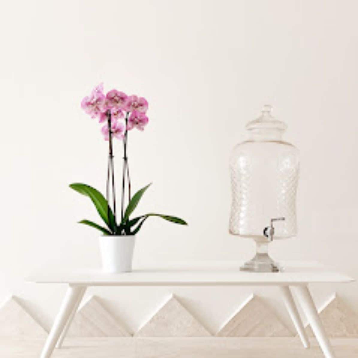 Photo - Hotel Moresco