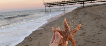 Beachside Home - Sleeps 5, Garden, Parking & Pets