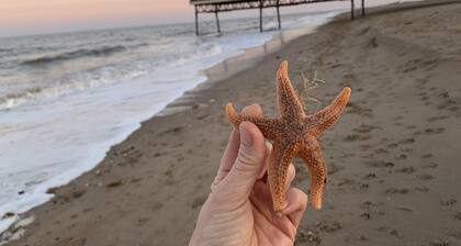 Beachside Home - Sleeps 5, Garden, Parking & Pets