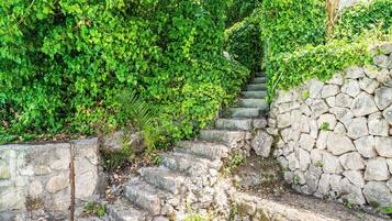 Terrain de l’hébergement