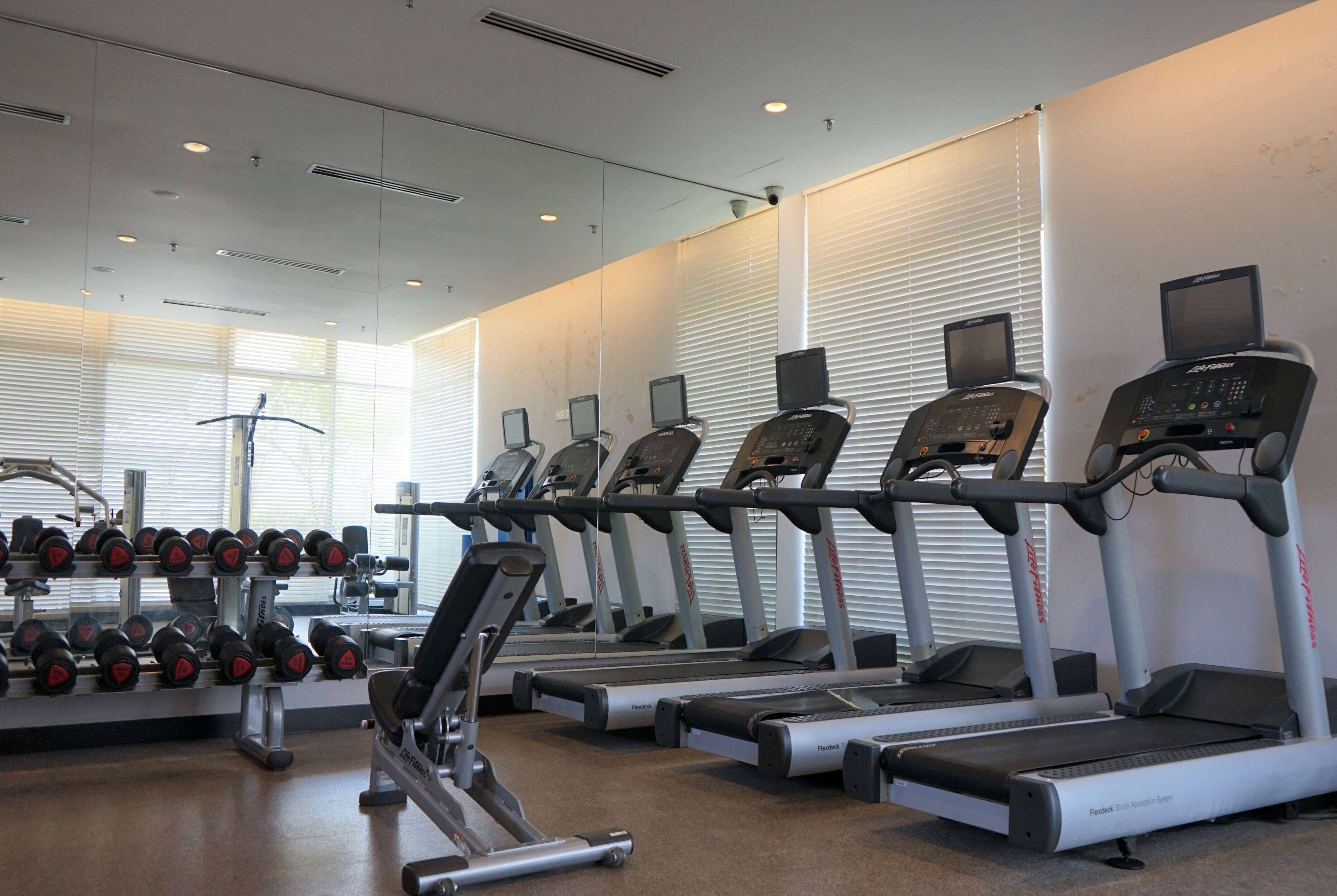 A gym with treadmills, dumbbells, and exercise equipment.