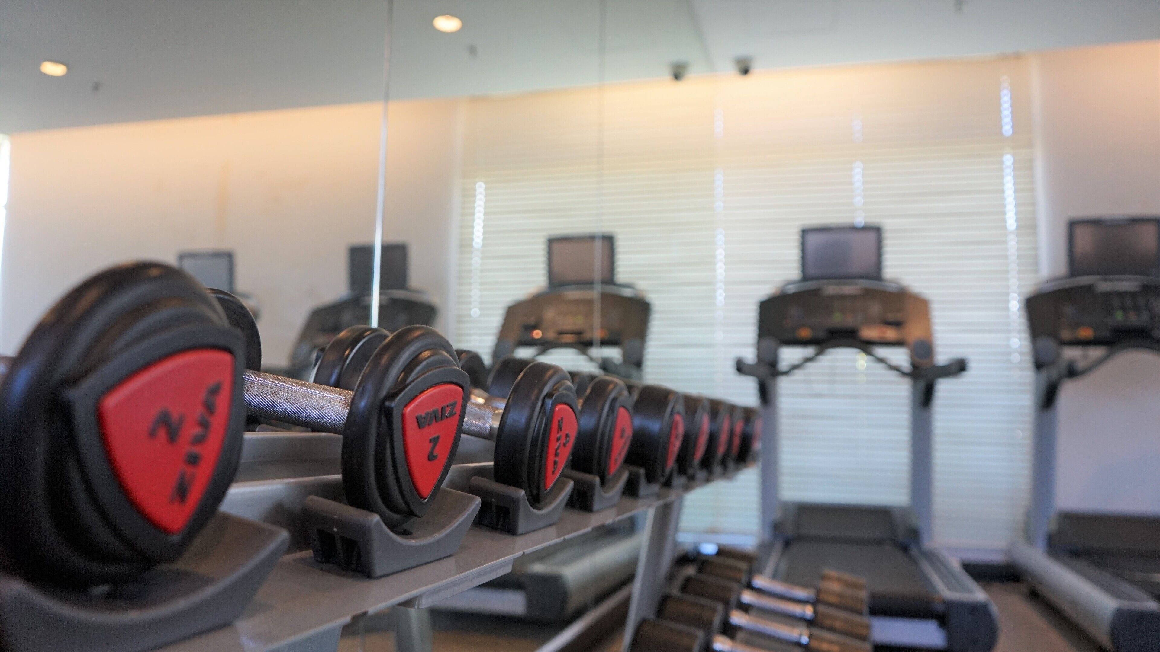A row of dumbbells on a rack in a gym with treadmills in the background.