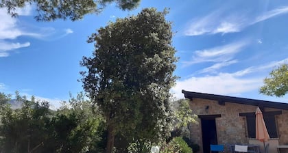 MARIO'S HOUSE - BETWEEN SPERLONGA, GAETA AND ITRI