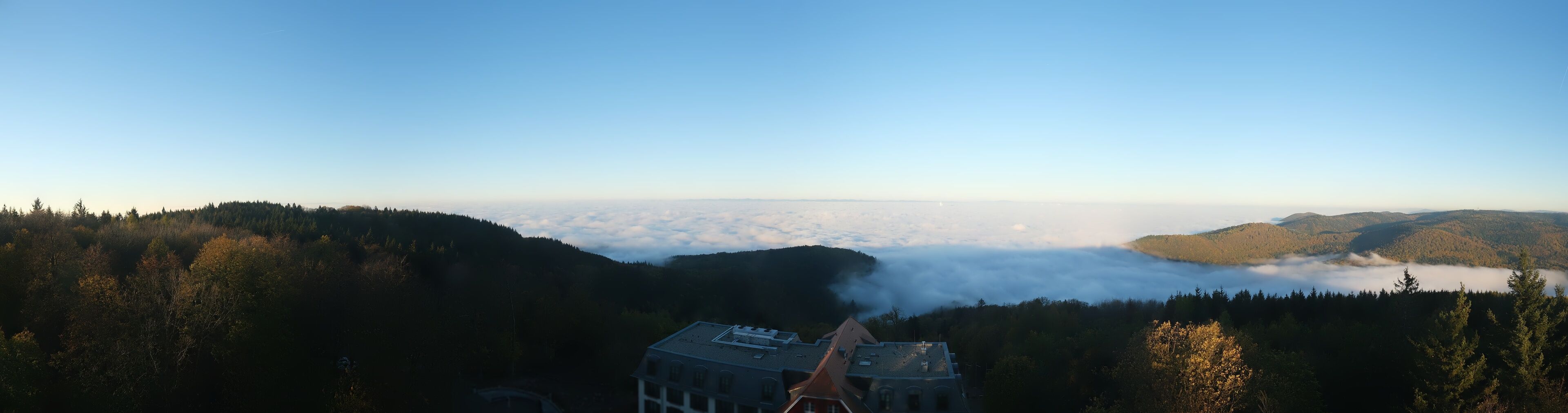 city view from property