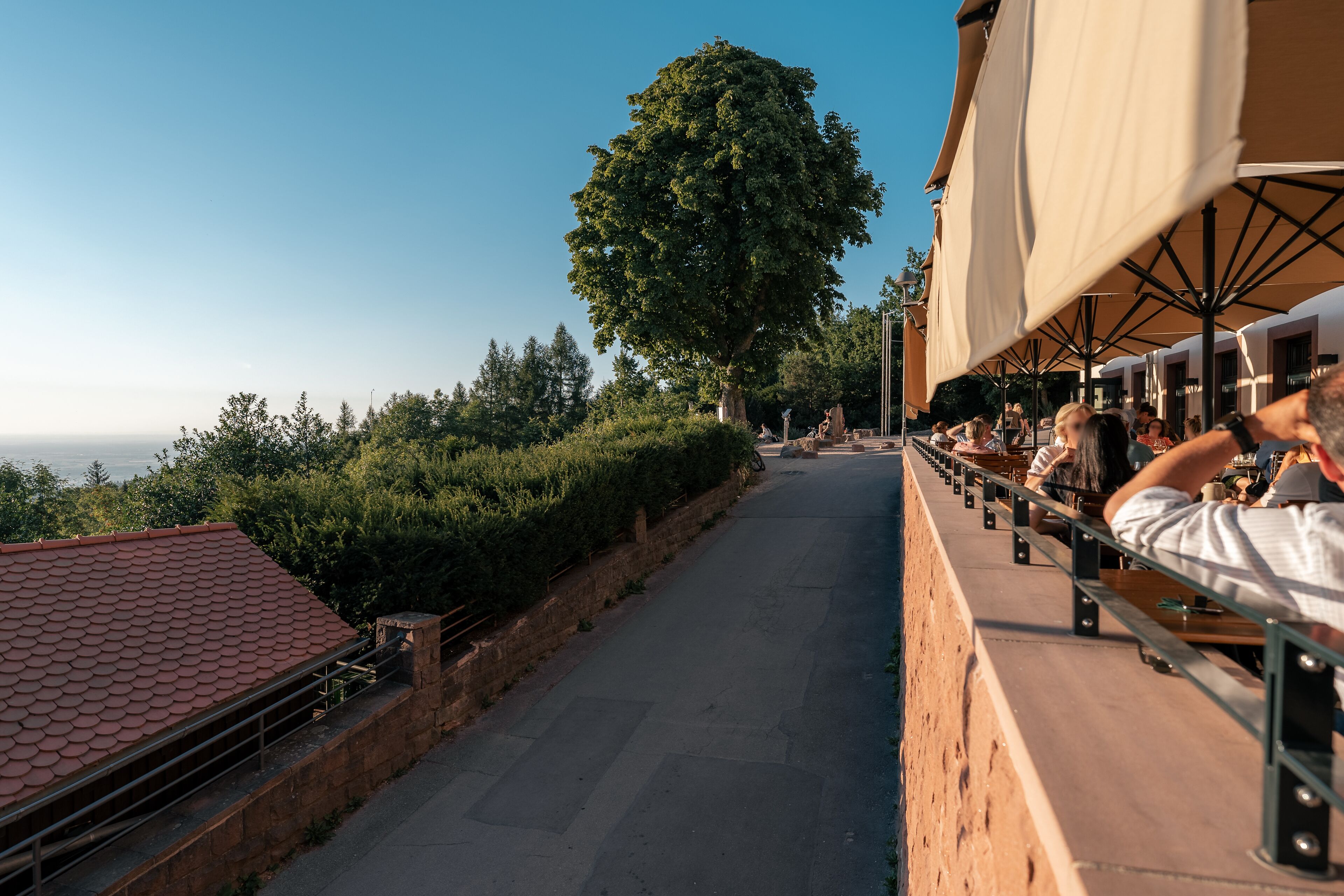 Foto - Berggasthof Königstuhl